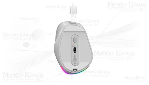 MOUSE GENIUS ERGO-9000S PRO RGB SILVER