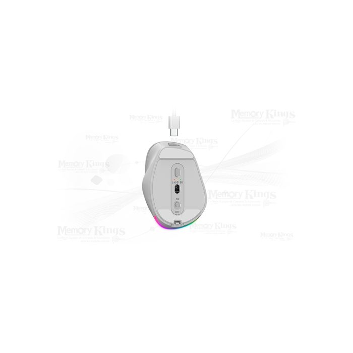 MOUSE GENIUS ERGO-9000S PRO RGB SILVER