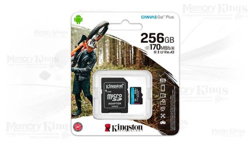 MEMORIA micro SD 256GB KINGSTON CANVAS GO! PLUS