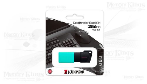 MEMORIA USB 256GB KINGSTON EXODIA M GREEN
