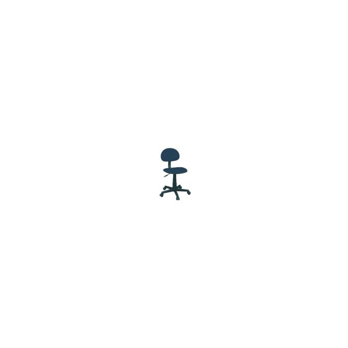 Computer Chair (Blue)
