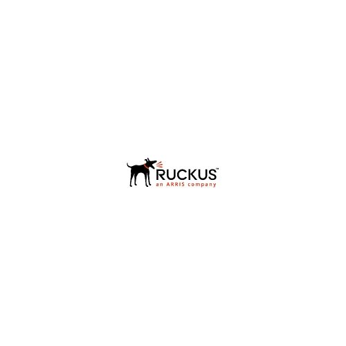 Soporte técnico Ruckus WatchDog, Usuario final, reemplazo anticipado de piezas , 1 año