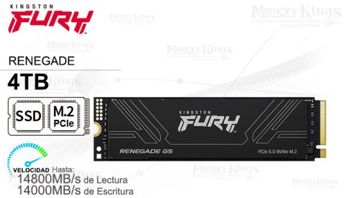Ssd Kt Fury Reneg 4Tb Nvme G5