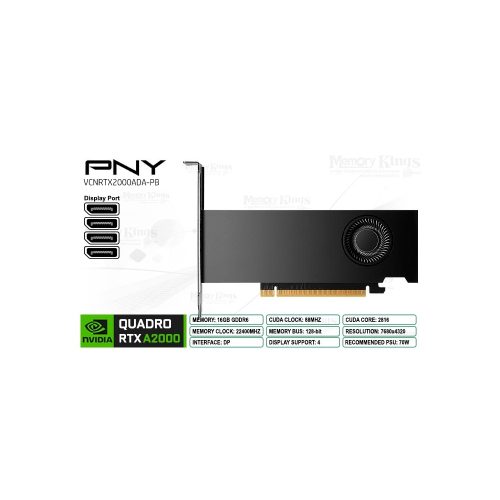 PNY Quadro RTX 2000 Ada - Tarjeta Gráfica Profesional 16GB GDDR6, 128-bit, DisplayPort