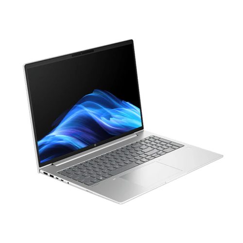 HP ProBook 14 inch i7 255U 16GB DDR5 1TB SSD Windows 11 Pro Silver IPS WUXGA